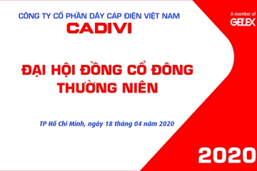 THE ANNUAL GENERAL MEETING OF SHAREHOLDERS IN 2020 OF VIETNAM ELECTRIC CABLES WIRE SUCCESSFULLY