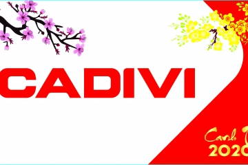 Công ty CADIVI chúc mừng tất niên ngành kinh doanh điện Công nghiệp - dân dụng TP Quy Nhơn-Bình Định